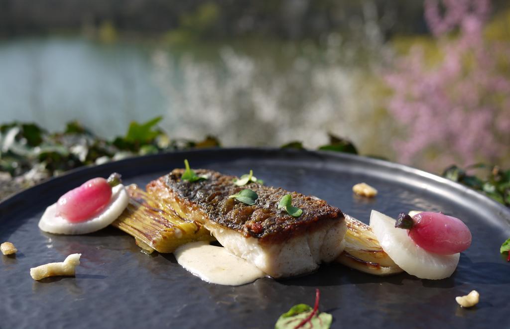 Logis Hotels Domaine Du Chatelard Dirac Luaran gambar